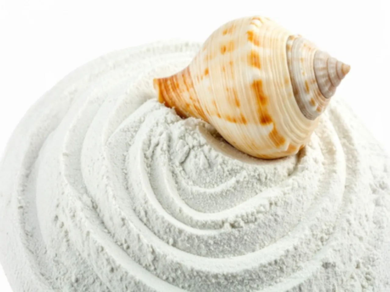 शंख भस्म: कैल्शियम से भरपूर है शंख भस्म, हड्डियों और जोड़ों को देता है नया जीवन