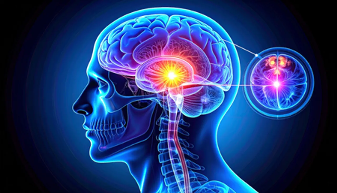 मटर के दाने जितनी छोटी ग्रंथि, लेकिन आपकी नींद, मूड और चेतना तक सब कुछ करती है कंट्रोल