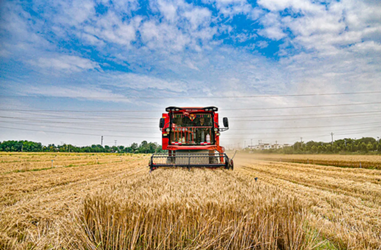 चीन के कृषि और ग्रामीण विकास ने 2025 तक स्थिर प्रगति बनाए रखी