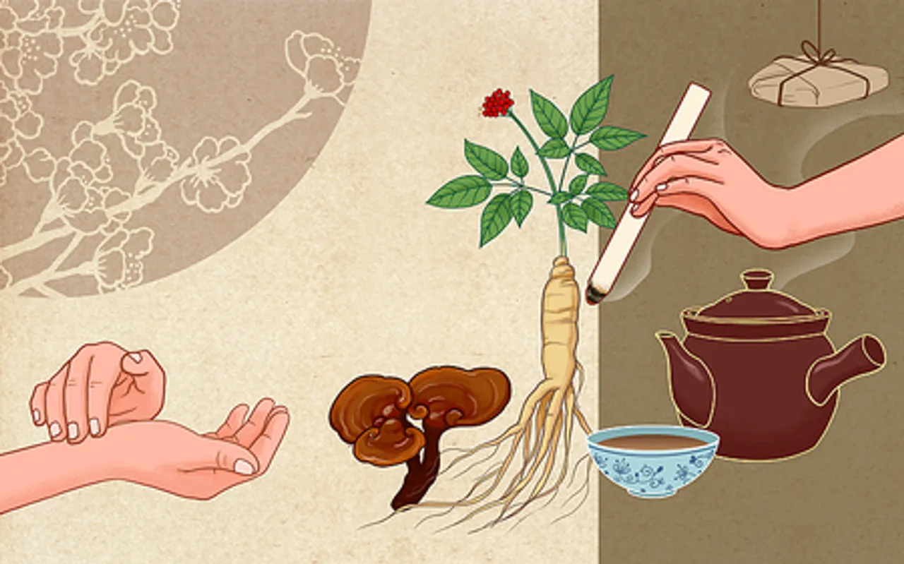 14वीं पंचवर्षीय योजना में पारंपरिक चीनी चिकित्सा के 34 राष्ट्रीय मानक जारी