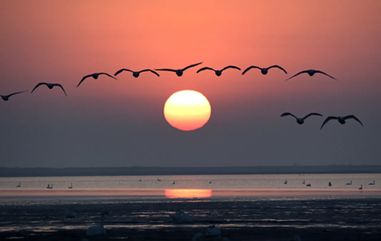 चीन ने "प्राकृतिक संरक्षण क्षेत्रों पर चीन लोक गणराज्य के विनियम" जारी किए
