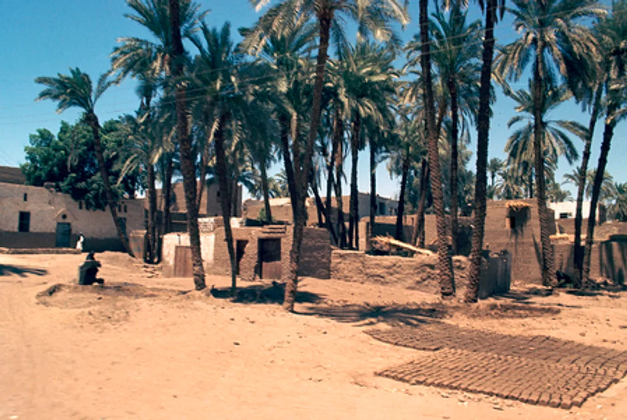 चीन और मिस्र की संयुक्त पुरातात्विक टीम ने मेम्फिस स्थित अजीज स्थल पर नई खोजों की घोषणा की