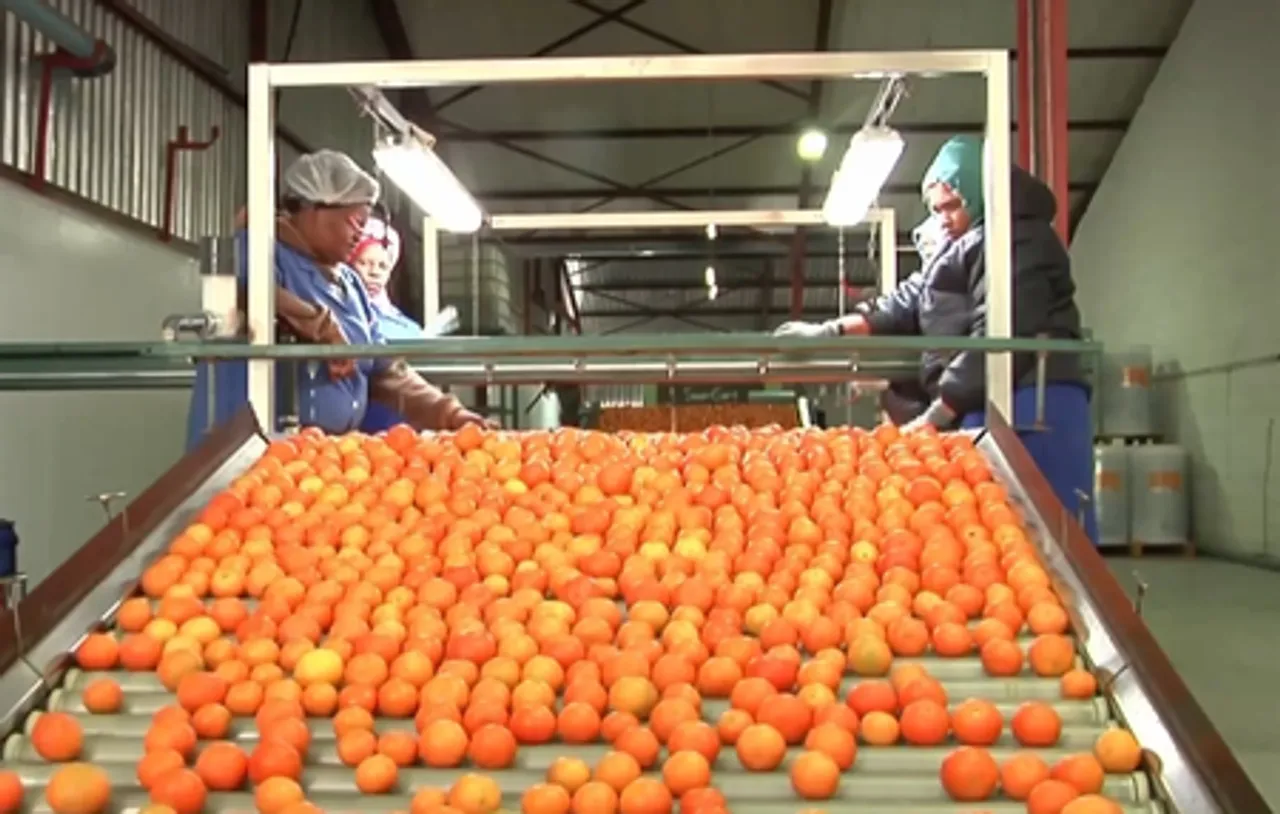 चीन के शून्य-टैरिफ उपायों से अफ्रीका के लिए विकास के अवसर पैदा होते हैं : अफ्रीकी विद्वान