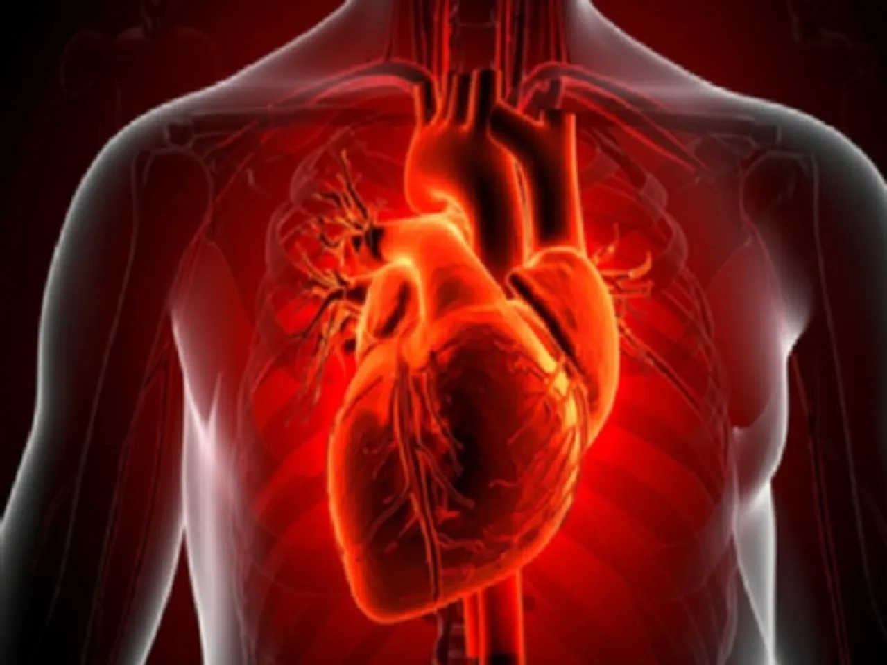 कोलेस्ट्रॉल बीमारी नहीं बल्कि खराब जीवन शैली का संकेत, जानें क्या कहता है आयुर्वेद