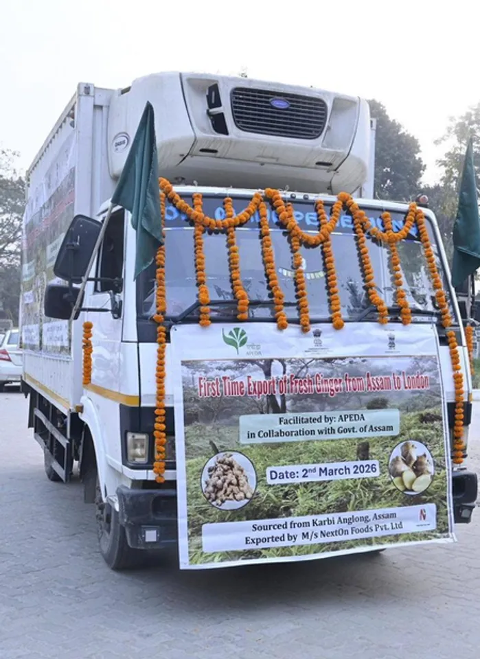 ‘Farmers step onto global stage’: CM Sarma on Assam’s 1st-ever export of GI-tagged Karbi Anglong ginger