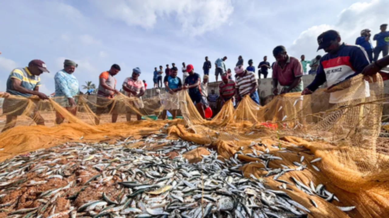 GPS devices boost fishing yields, nutrition in Car Nicobar: Ministry