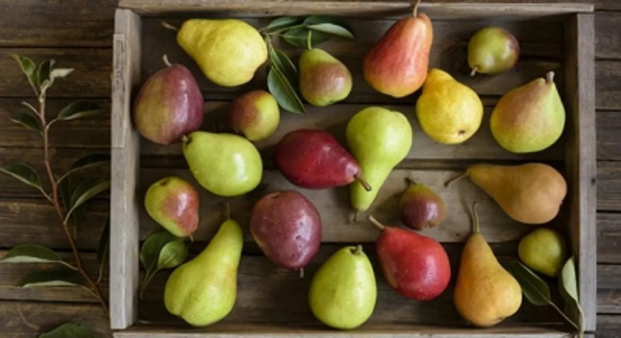 Free Photo, How the pear fruit can keep you healthy