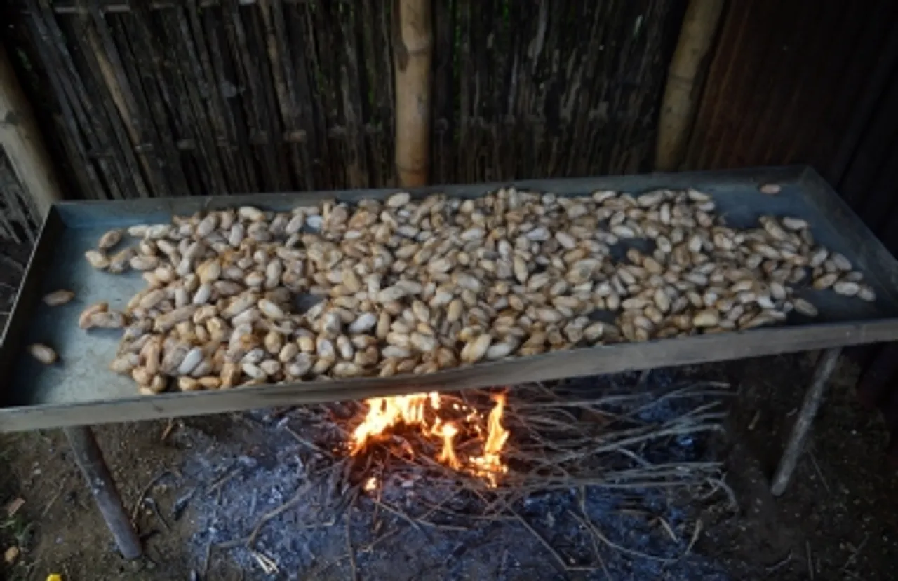 Oct 2017,Kamrup,Assam,Muga silk,AS_AH