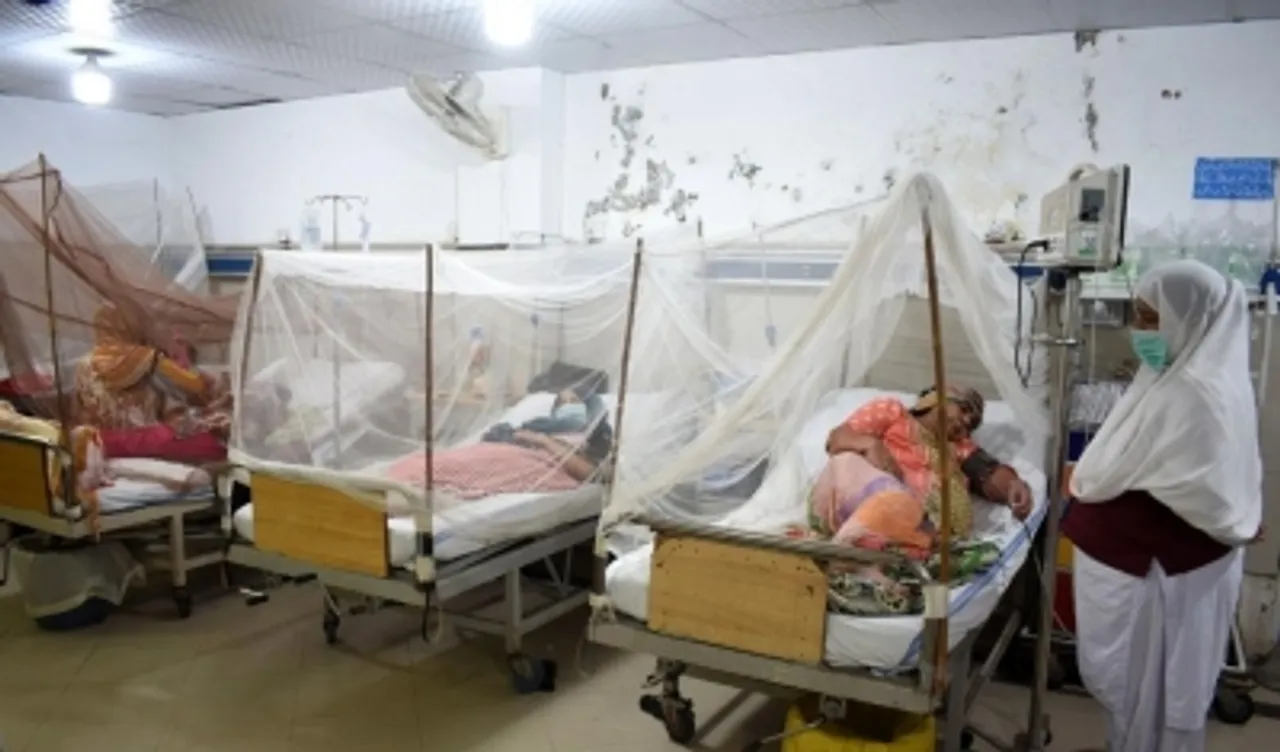 Patients,dengue,mosquito nets,hospital,Peshawar,Pakistan,