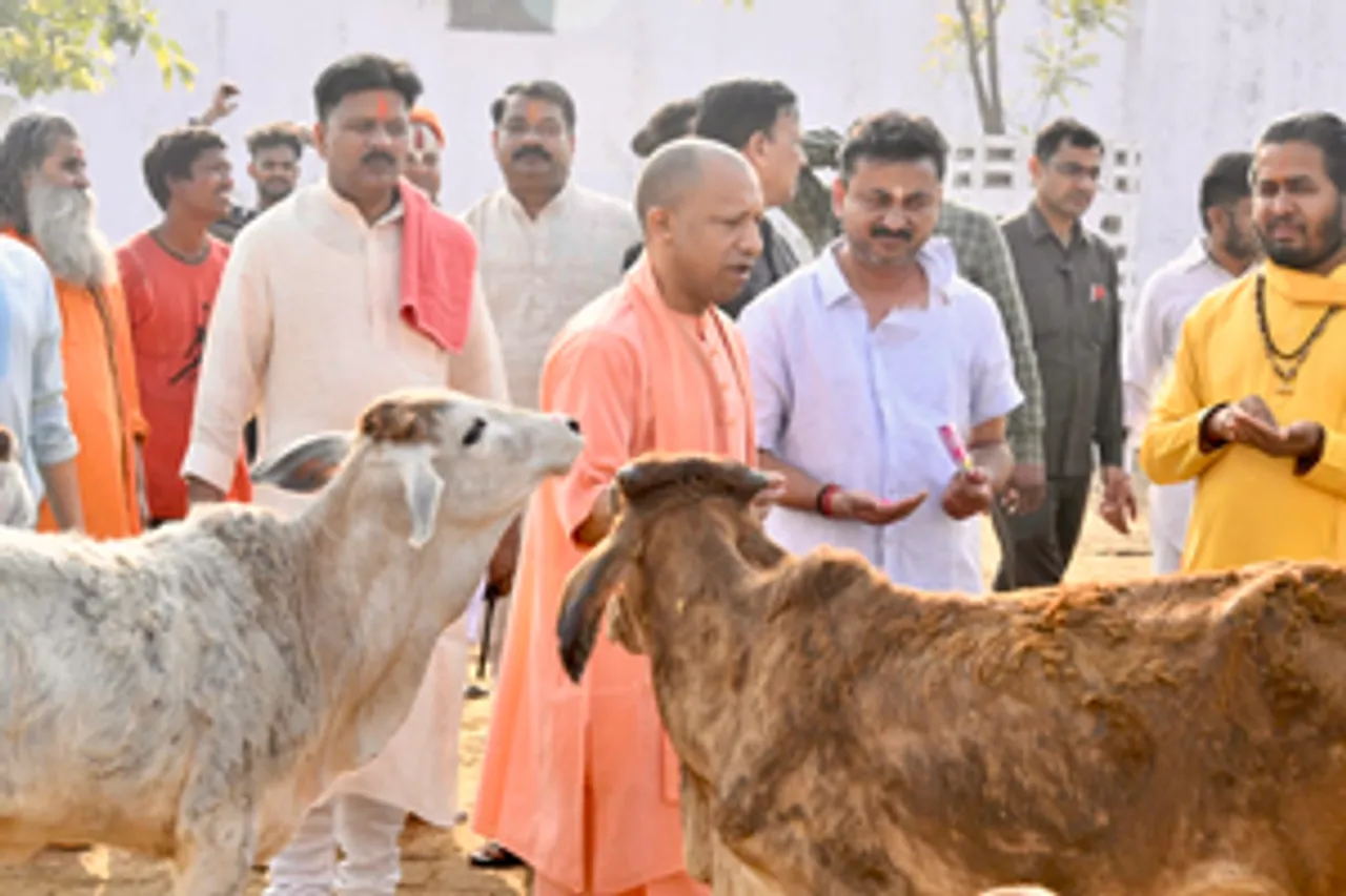 Gorakhpur: Uttar Pradesh Chief Minister Yogi Adityanath feeds a cow during his visit to Gorakhnath Temple