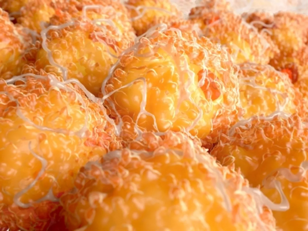 Brown fat,brown fat cells,fat cells