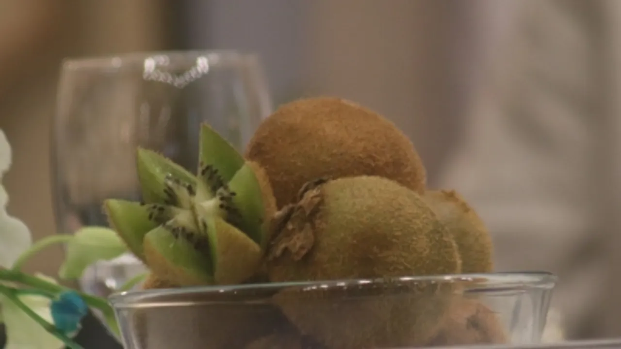 July 2018,New Delhi,ProChile,Chilean Trade promotion,