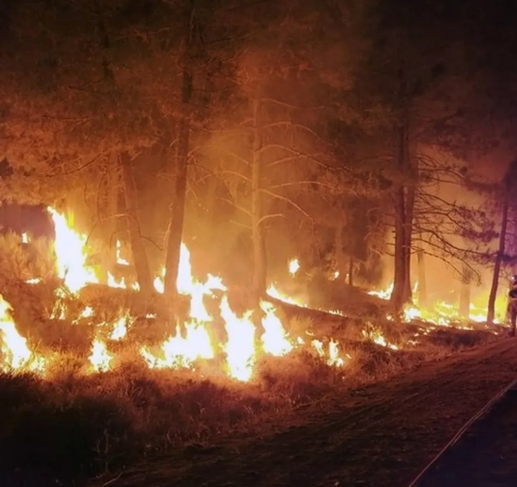 Fast-spreading wildfire forces evacuation in Texas
