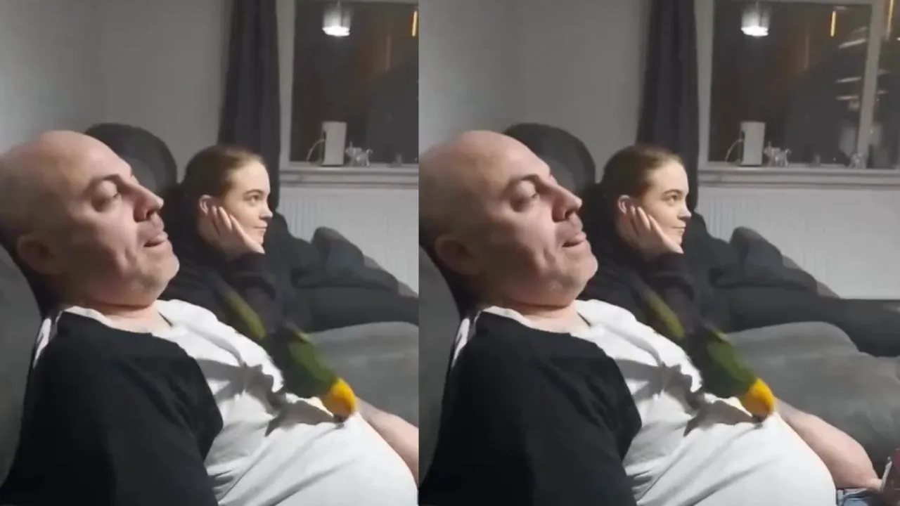 viral video