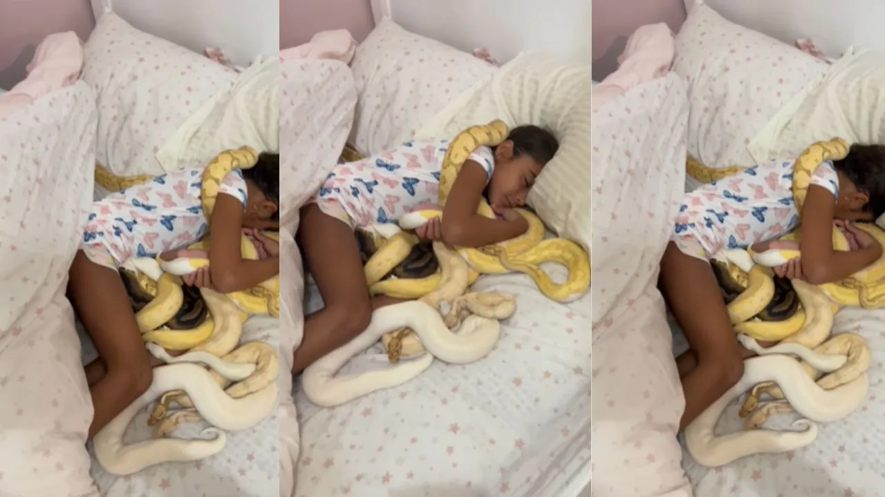 snake viral video1