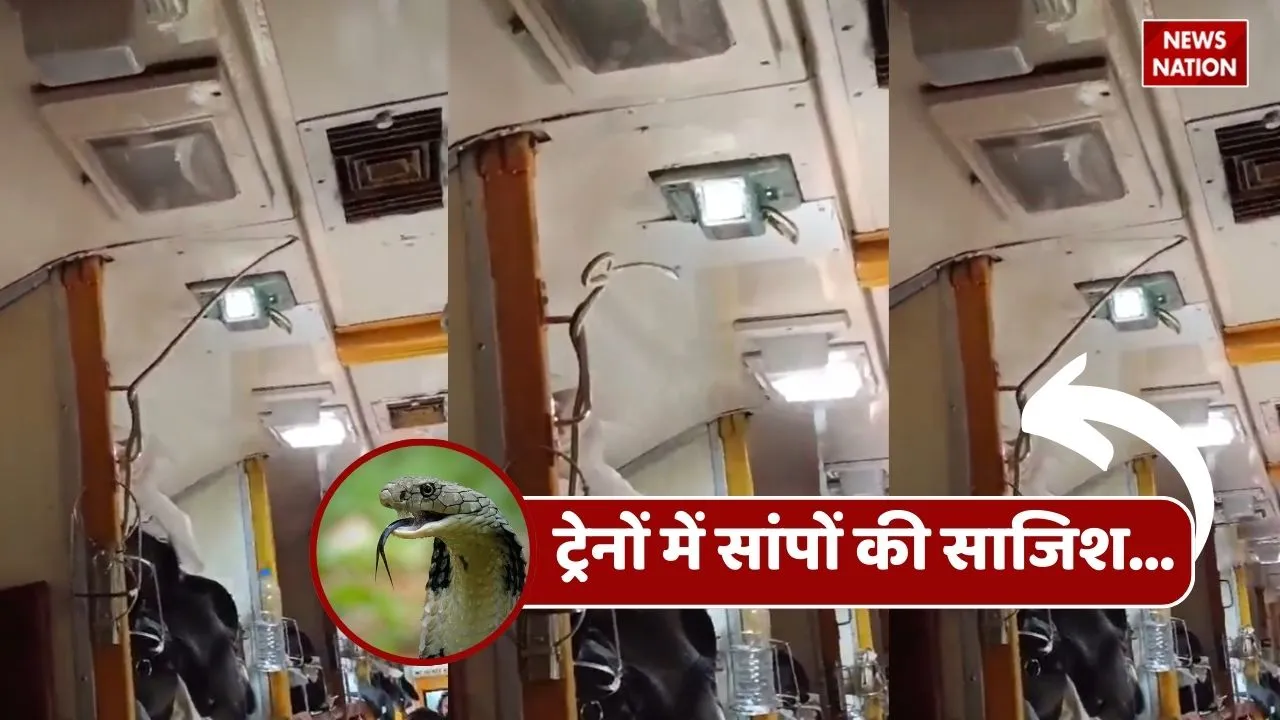 viral video train