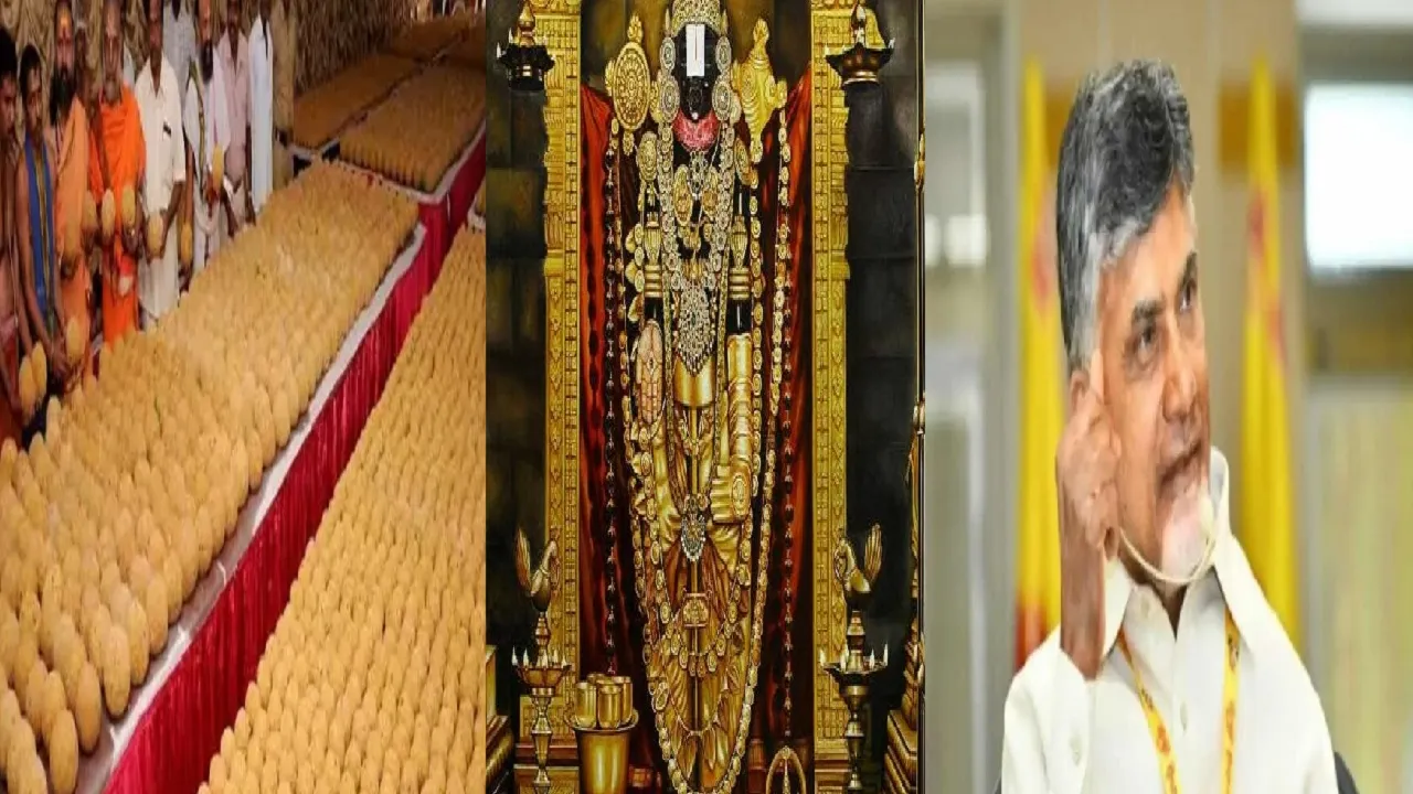 chandrababu naidu on balaji .jpg