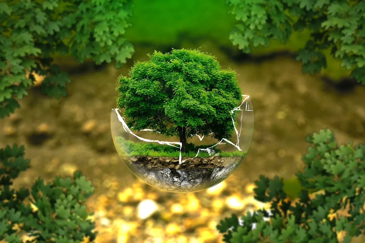 World Environment Day 2023: यूं खत्म होगा Plastic Pollution!
