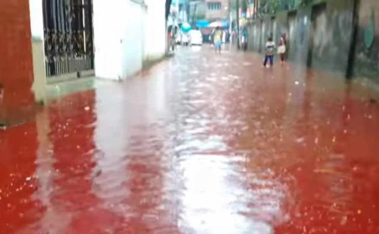 बकरीद पर शहर में बही ख़ून की नदियां, सड़क हुई लाल