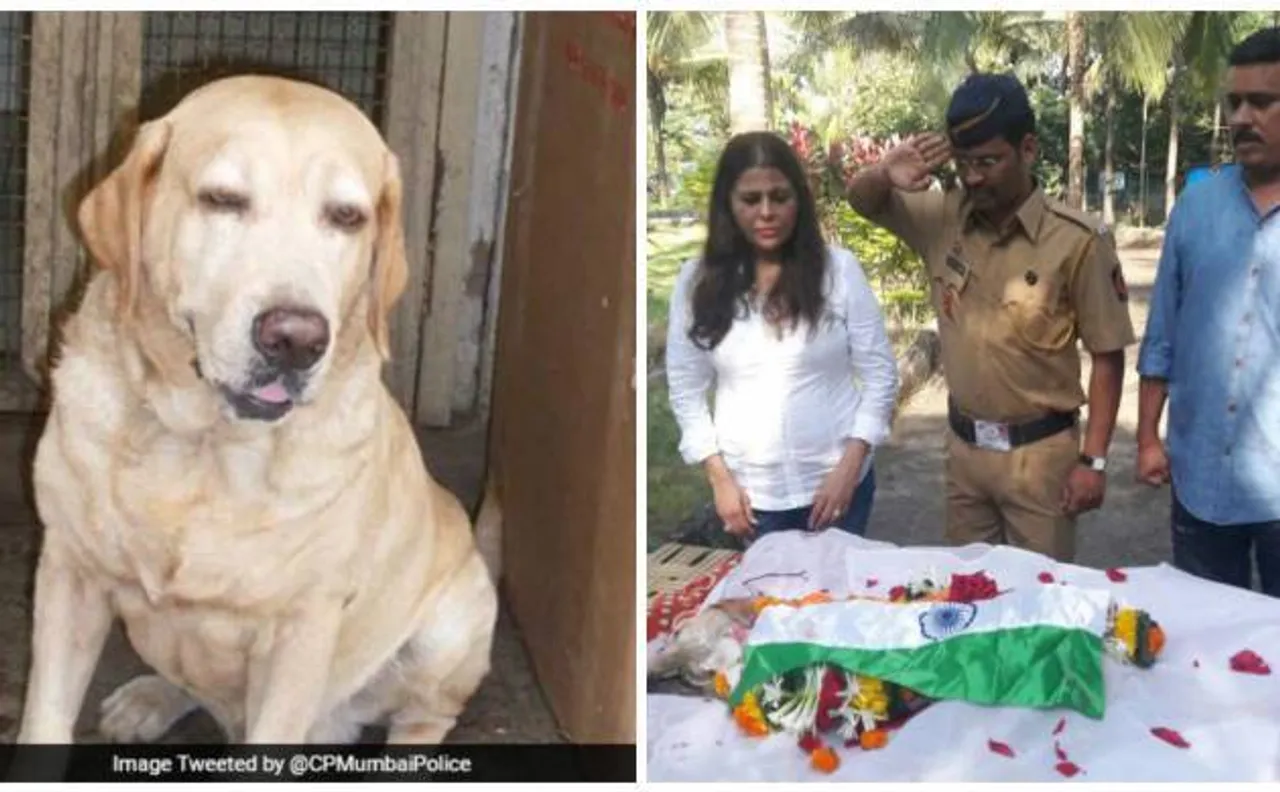 26/11 आतंकी हमले के हीरो 'सीजर' की मौत, मुंबई पुलिस ने दी भावुक विदाई