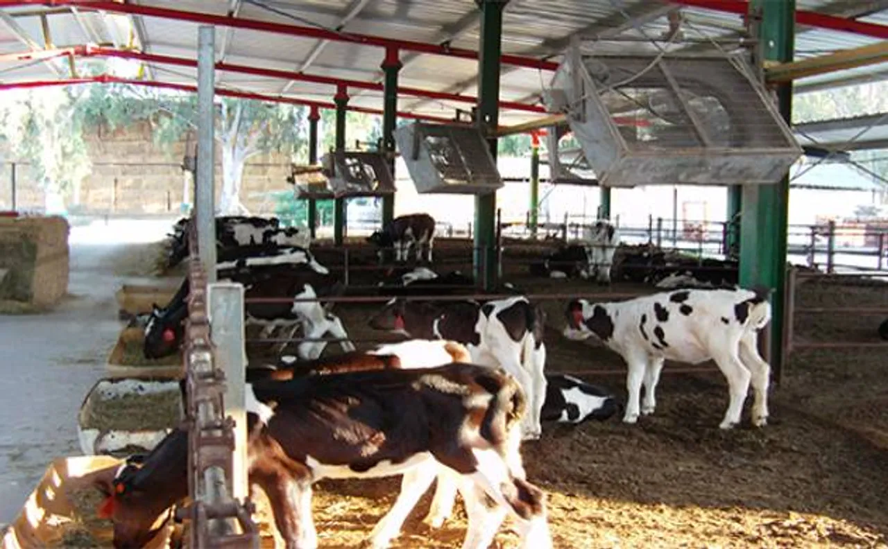 गौरक्षा संगठनों पर सुप्रीम कोर्ट ने जारी किया केंद्र और राज्य सरकारों को नोटिस