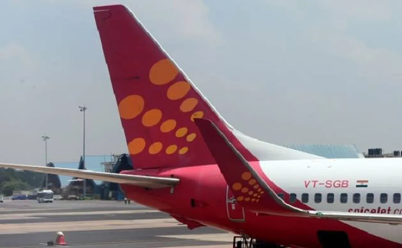 अहमदाबाद में बंदर की वजह से रोकना पड़ा फ्लाइट