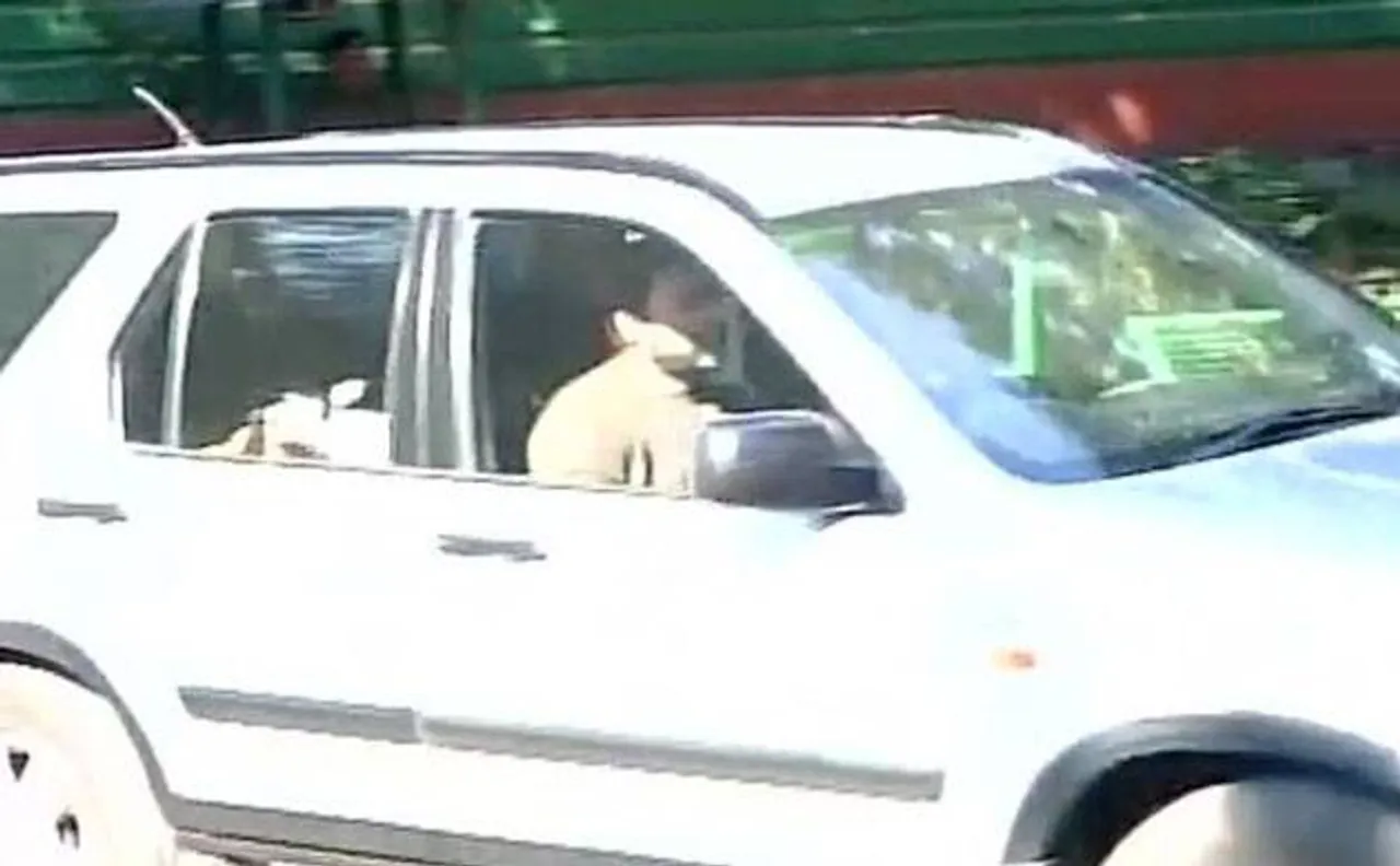 राहुल गांधी की पार्टी नेताओं के साथ बैठक, विधानसभा चुनाव की रणनीति पर हुई चर्चा, सोनिया और प्रियंका भी हुईं शामिल