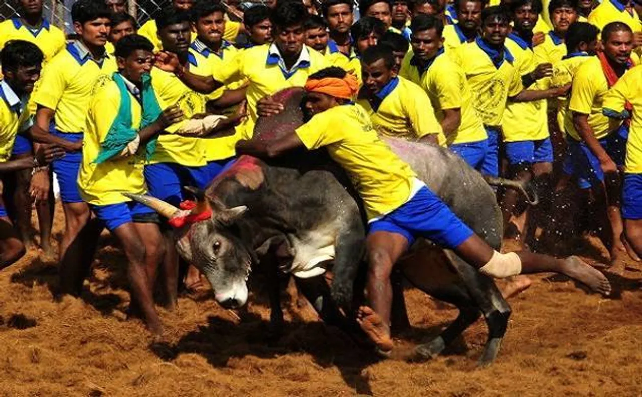 तमिलनाडु में हिंसक प्रदर्शन के बीच जल्लीकट्टू बिल विधानसभा में पास