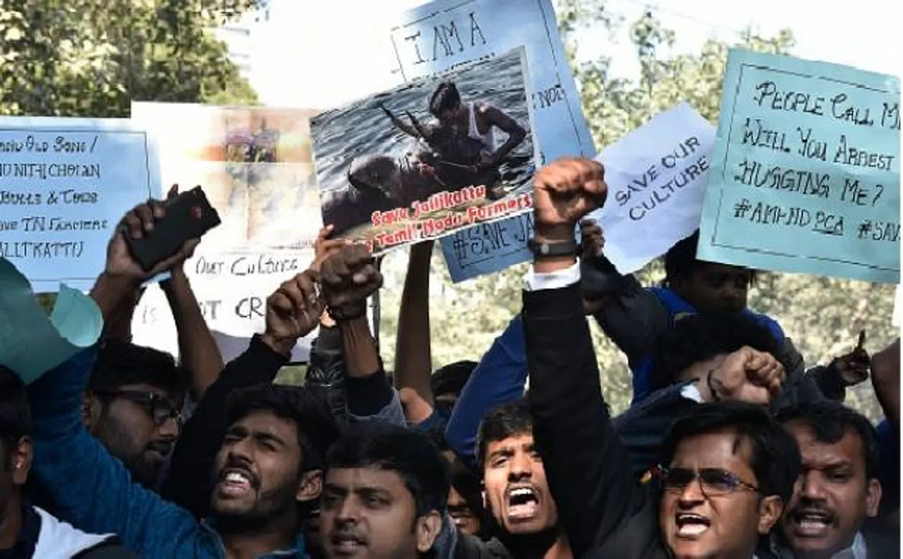 जल्लीकट्टू के समर्थन में हुए प्रदर्शन में शामिल थे असामाजिक तत्व, 40 लोग हिरासत में