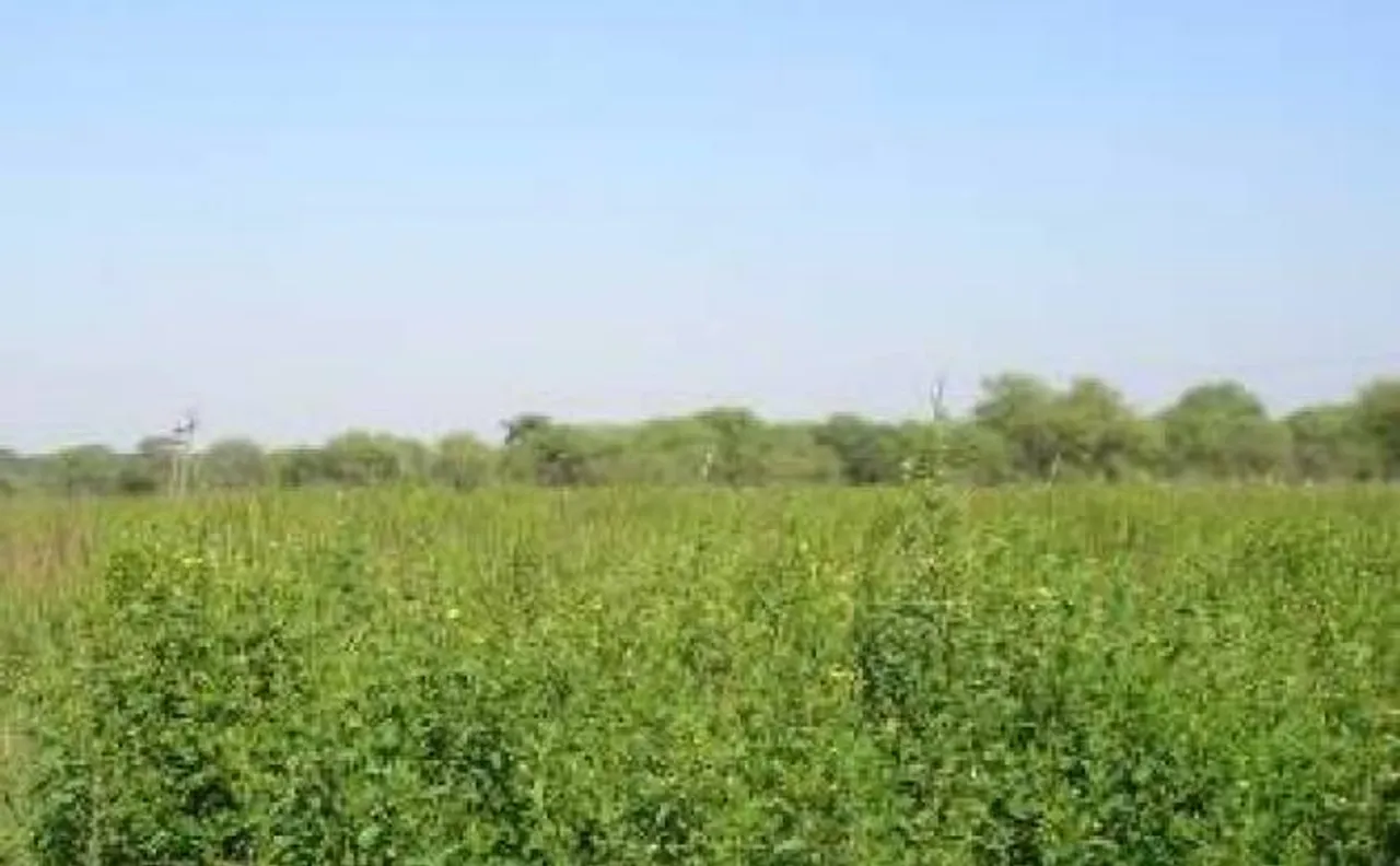 भारत-पोलैंड कृषि समझौते को मंजूरी