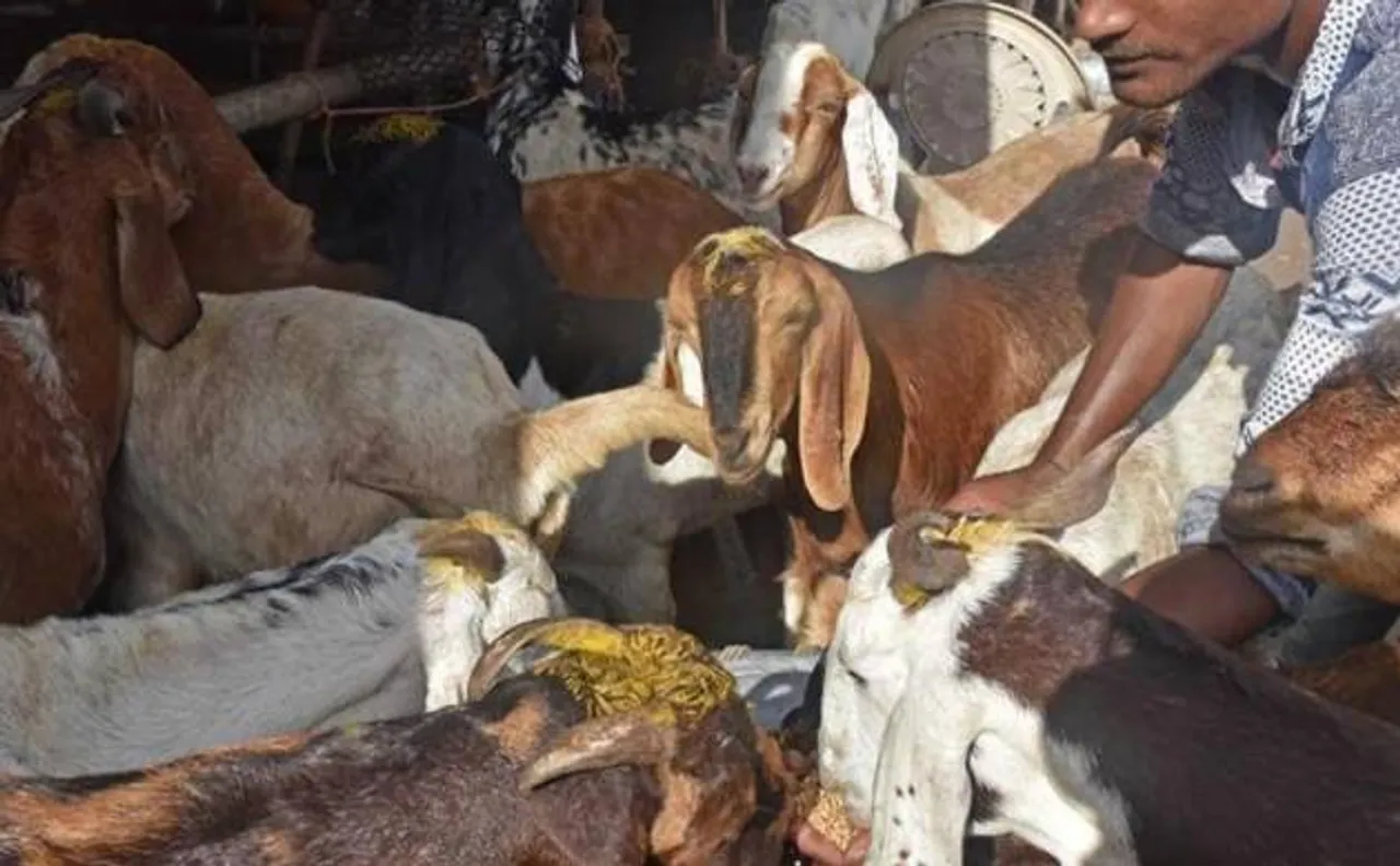 उत्तर प्रदेश में 'योगी' राज के दौरान बूचड़खानों पर चली लगाम और राज्य की अर्थव्यवस्था पर पड़ता असर