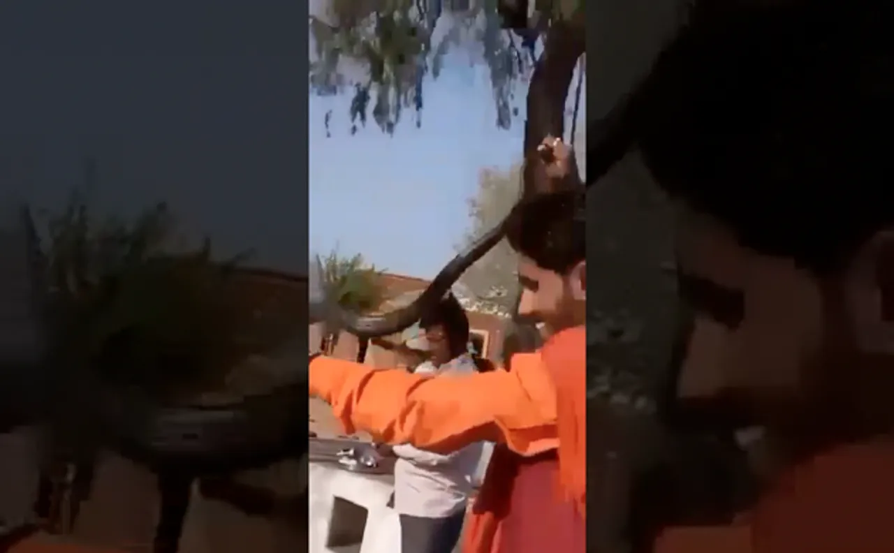Video : जोधपुर में चमत्कार के चक्कर में गई एक शख्स की जान, सांप काटने से हुई मौत
