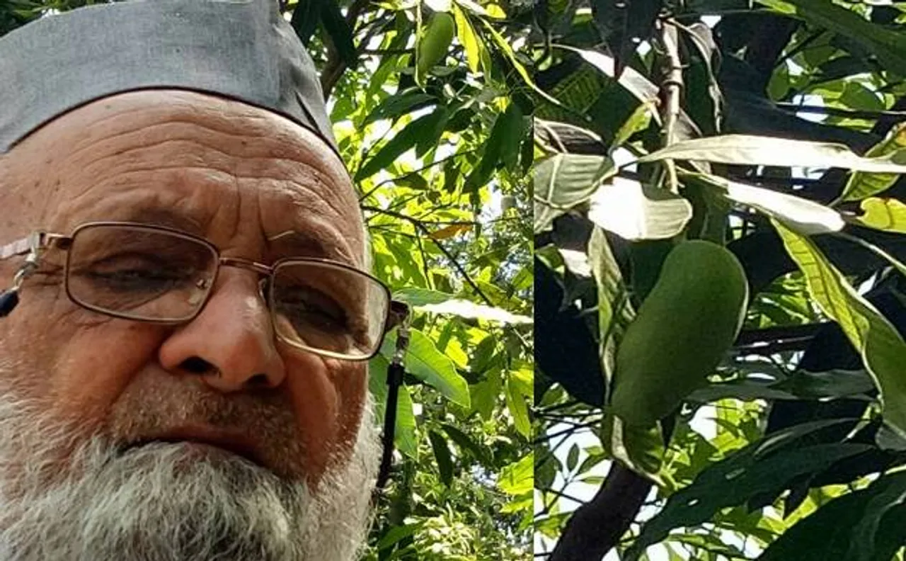 मैंगोमैन कलीमुल्लाह ने योगी आदित्यनाथ के नाम पर रखा आम का नाम, जल्द ही बाजार में होगा उपलब्ध