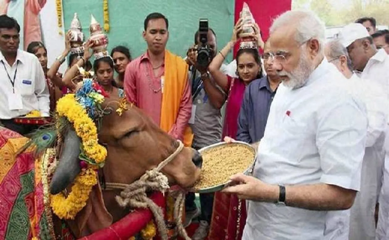 'गाय को राष्ट्रीय पशु घोषित करें सरकार', राजस्थान हाई कोर्ट का आदेश
