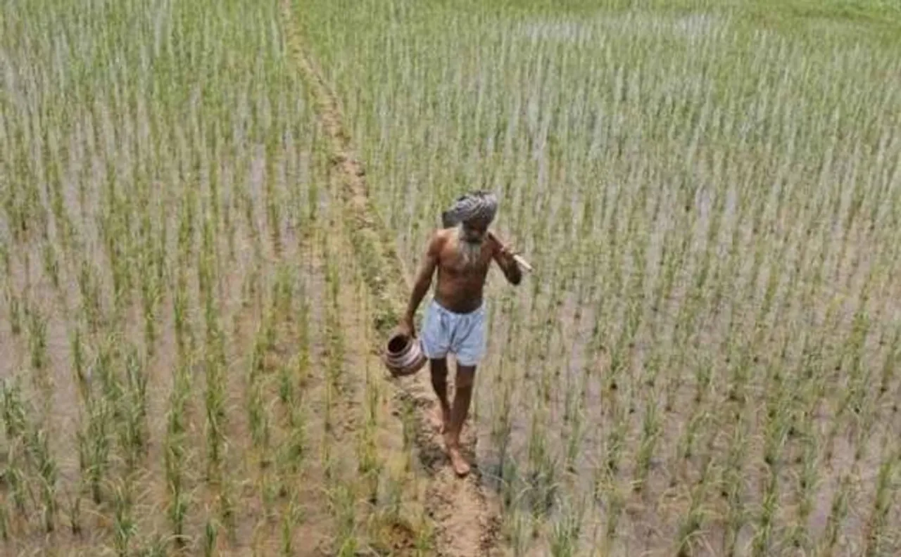 बिहार 'बाढ़' ही नहीं 'सूखे' की भी झेल रहा है मार
