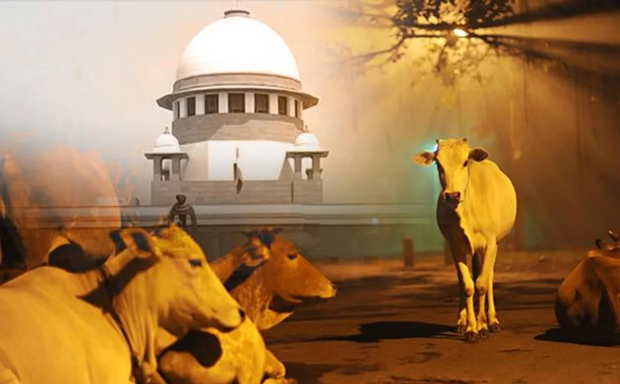 गौरक्षा के नाम पर हिंसा करने वालों पर सुप्रीम कोर्ट सख्त, राज्यों को नोडल ऑफिसर नियुक्त करने का आदेश