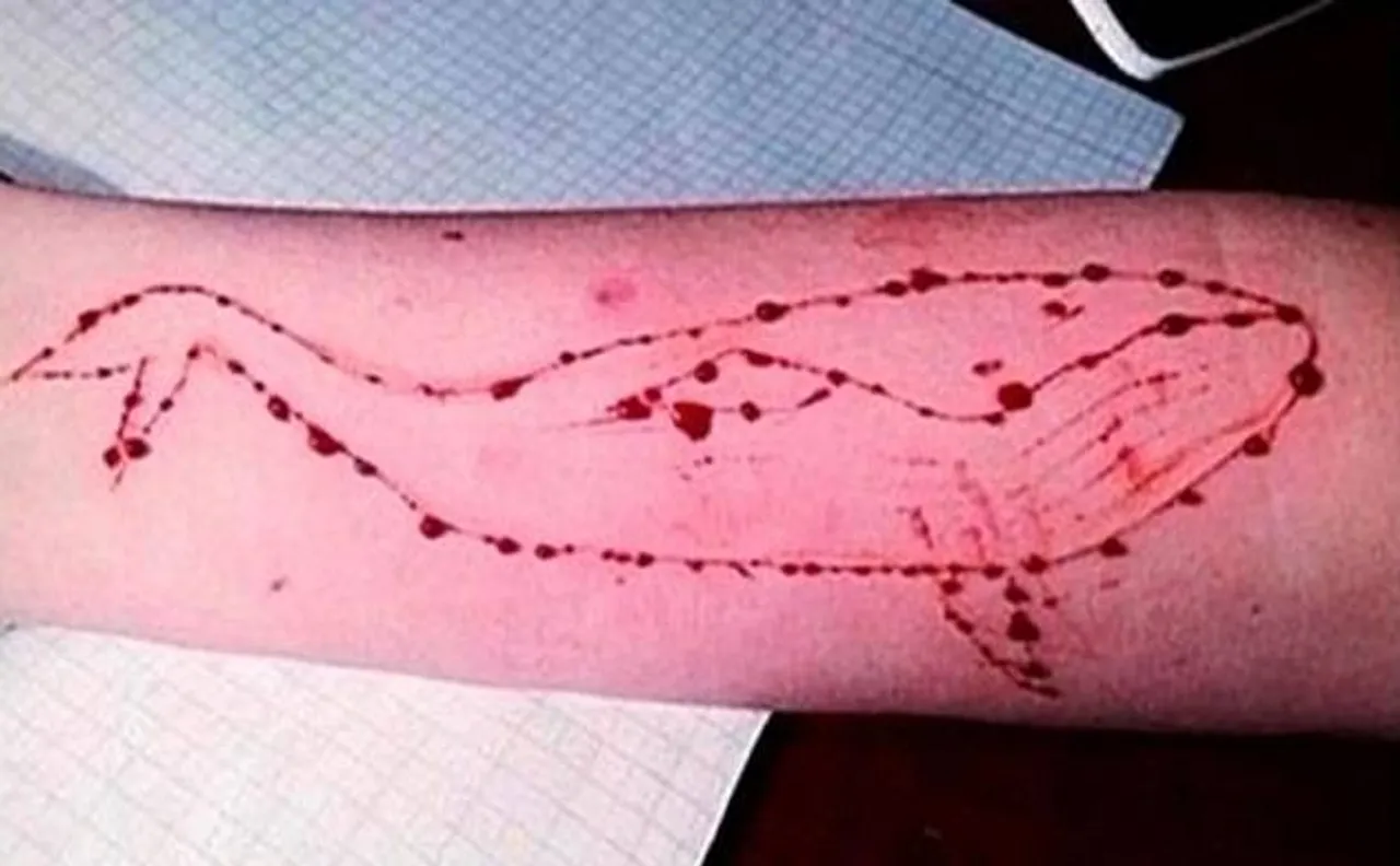 blue whale