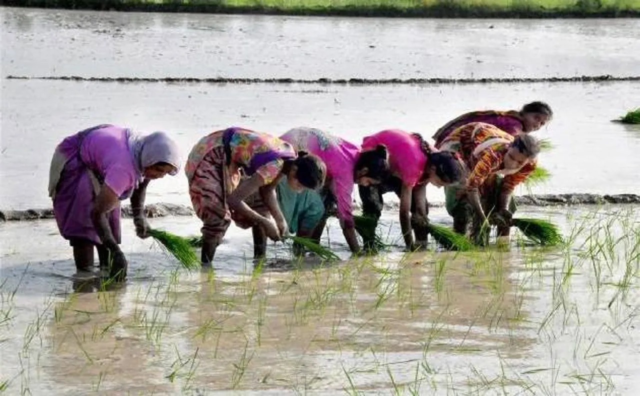 योगी सरकार ने किसान कर्जमाफी में गड़बड़ी की खबरों को बताया अफवाह
