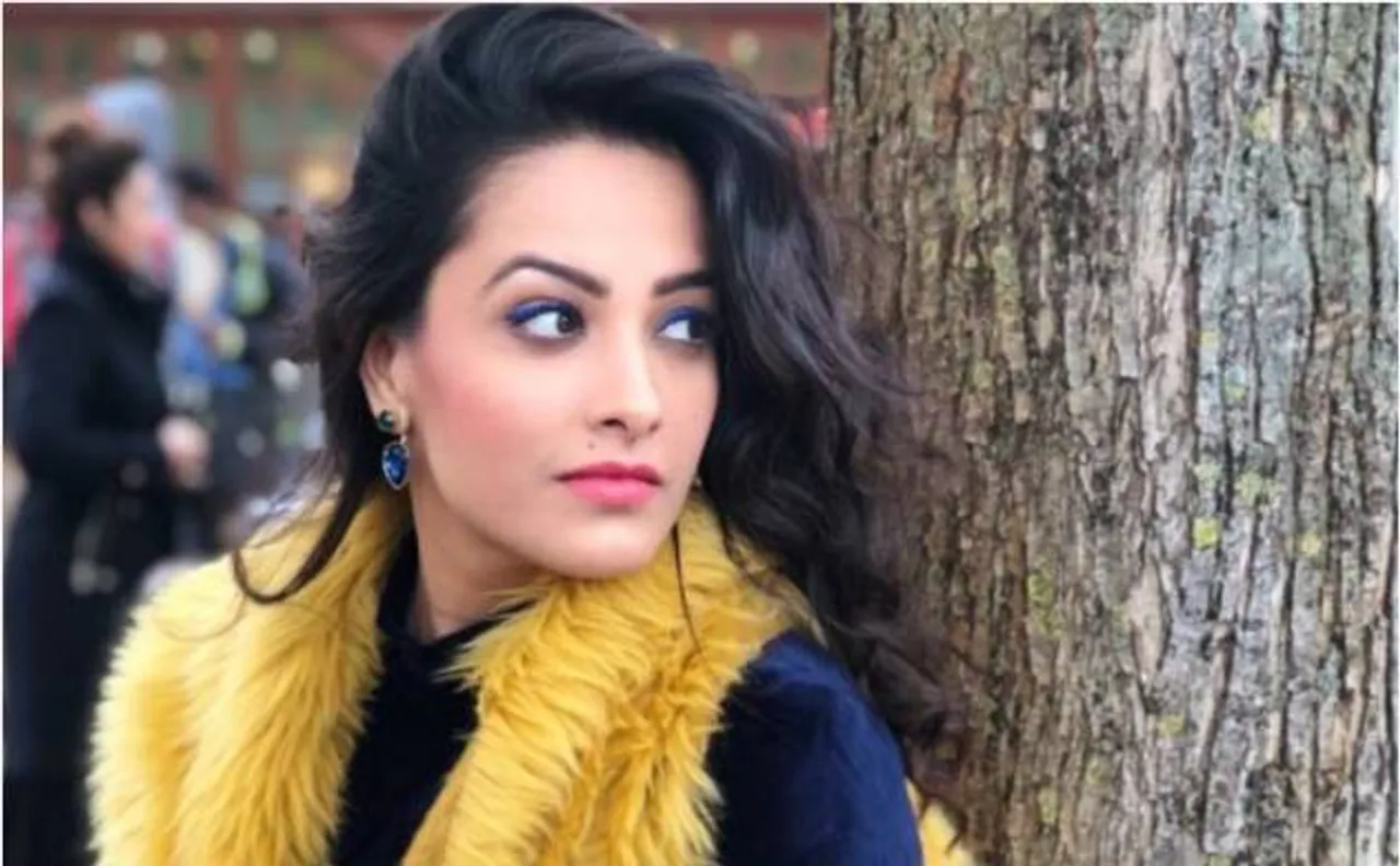 'ये है मोहब्बतें' की एक्ट्रेस अनीता हसनंदानी ने बिग बॉस 11 को बताया सबसे फेक सीजन