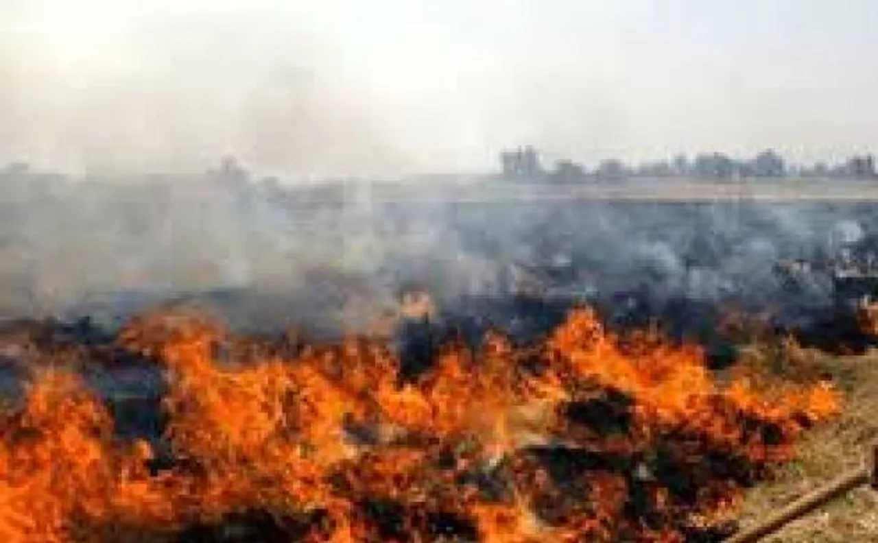 पराली जलाने पर निष्क्रियता को लेकर पंजाब को फटकार