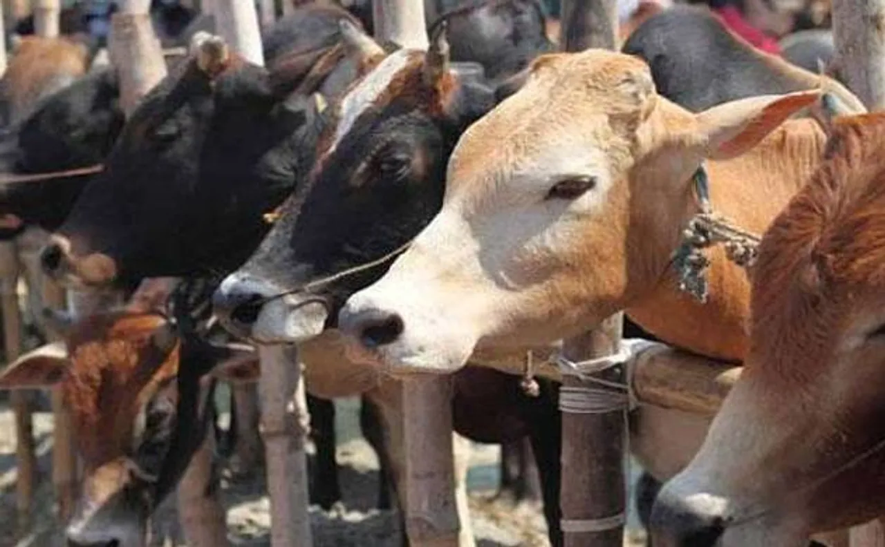 गोवा में बीफ व्यापारियों की हड़ताल खत्म, पुलिस ने दिया सुरक्षा का आश्वासन