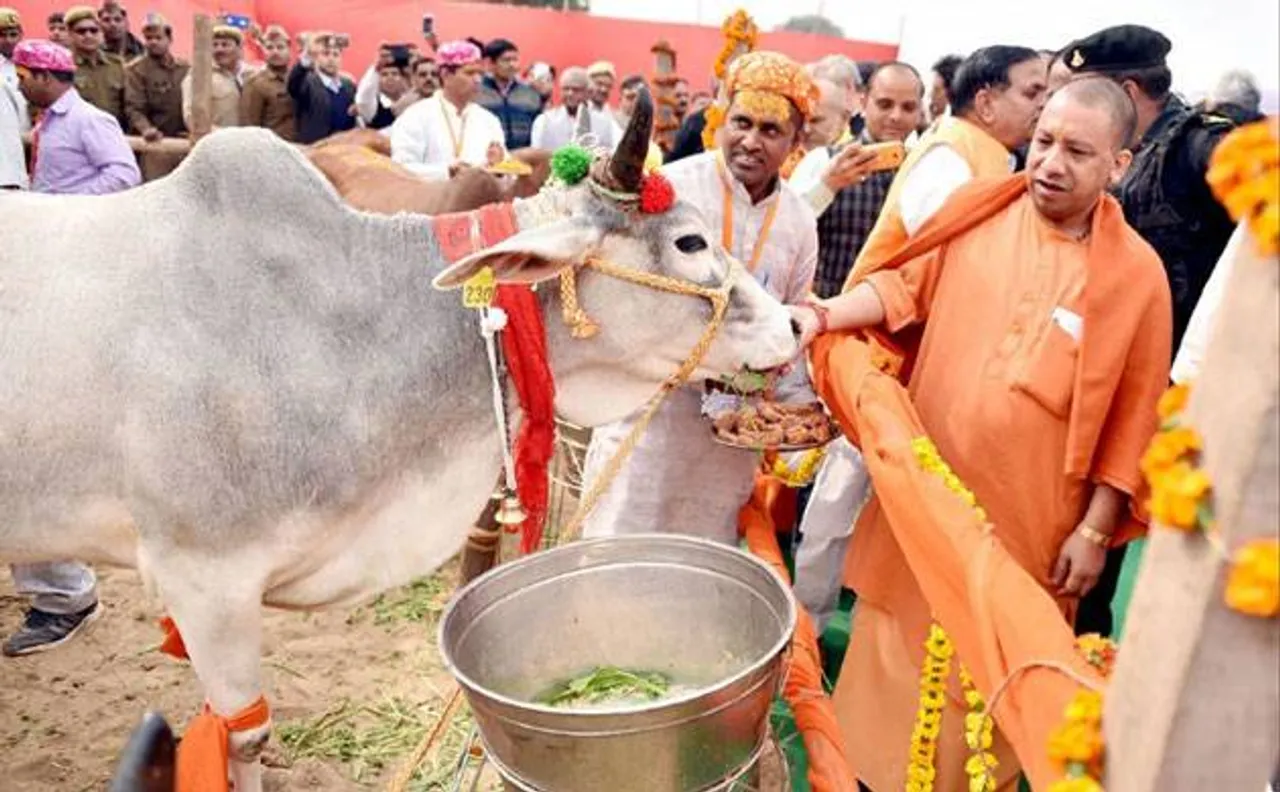 योगी सरकार के बजट में गोशाला, मदरसा और पर्यटन पर भी रहा फोकस
