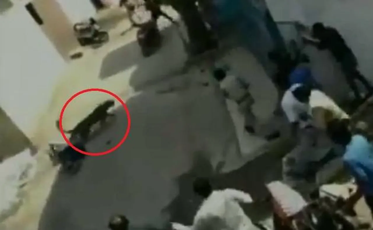 Video: इंदौर के रहवासी कॉलोनी में घुसा तेंदुआ, दो अधिकारियों को किया लहूलुहान