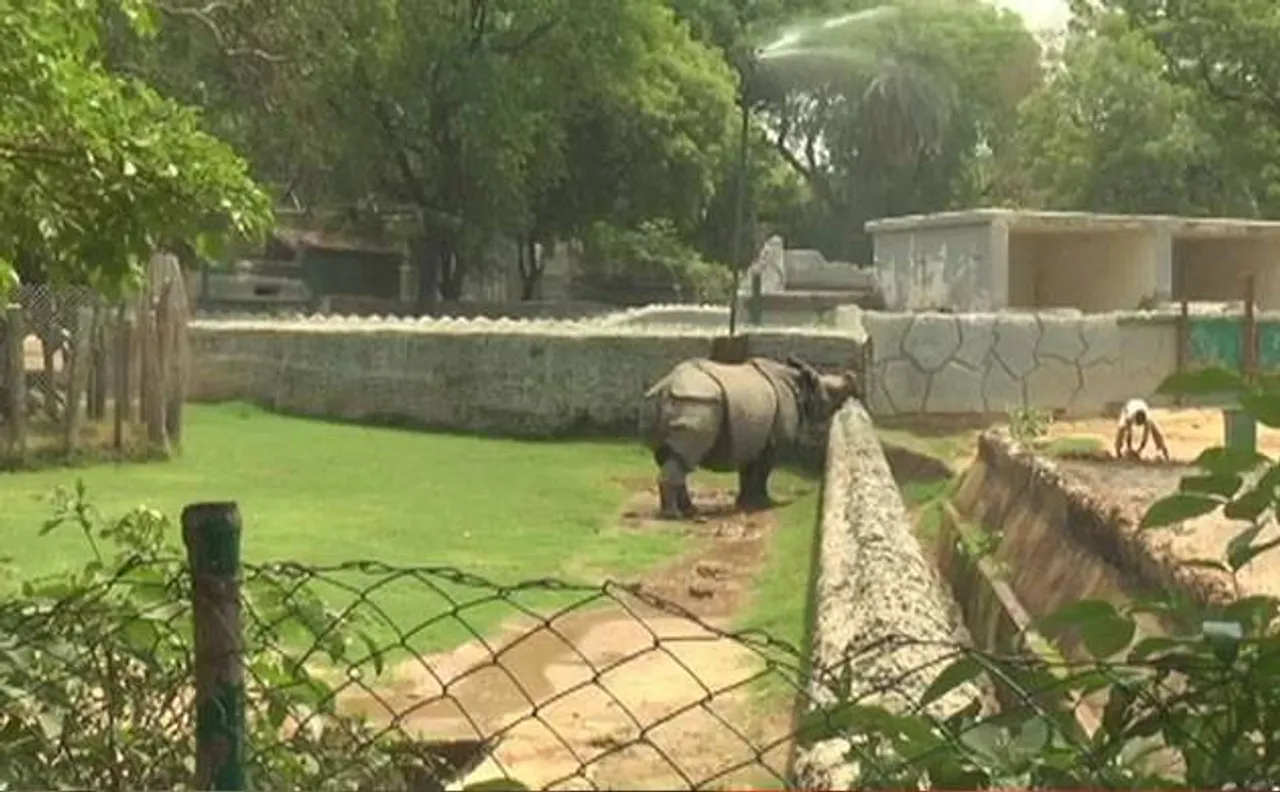 कानपुर चिड़ियाघर में बेजुबान जानवरों को गर्मी से बचाने के लिए किए इंतजाम