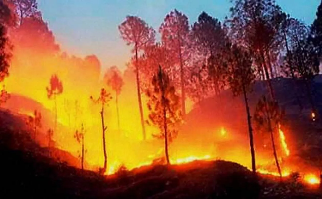 जंगलों में लगी आग के कारण वैष्णों देवी यात्रा लगातार दूसरे दिन रुकी, 25,000 तीर्थयात्री  फंसे