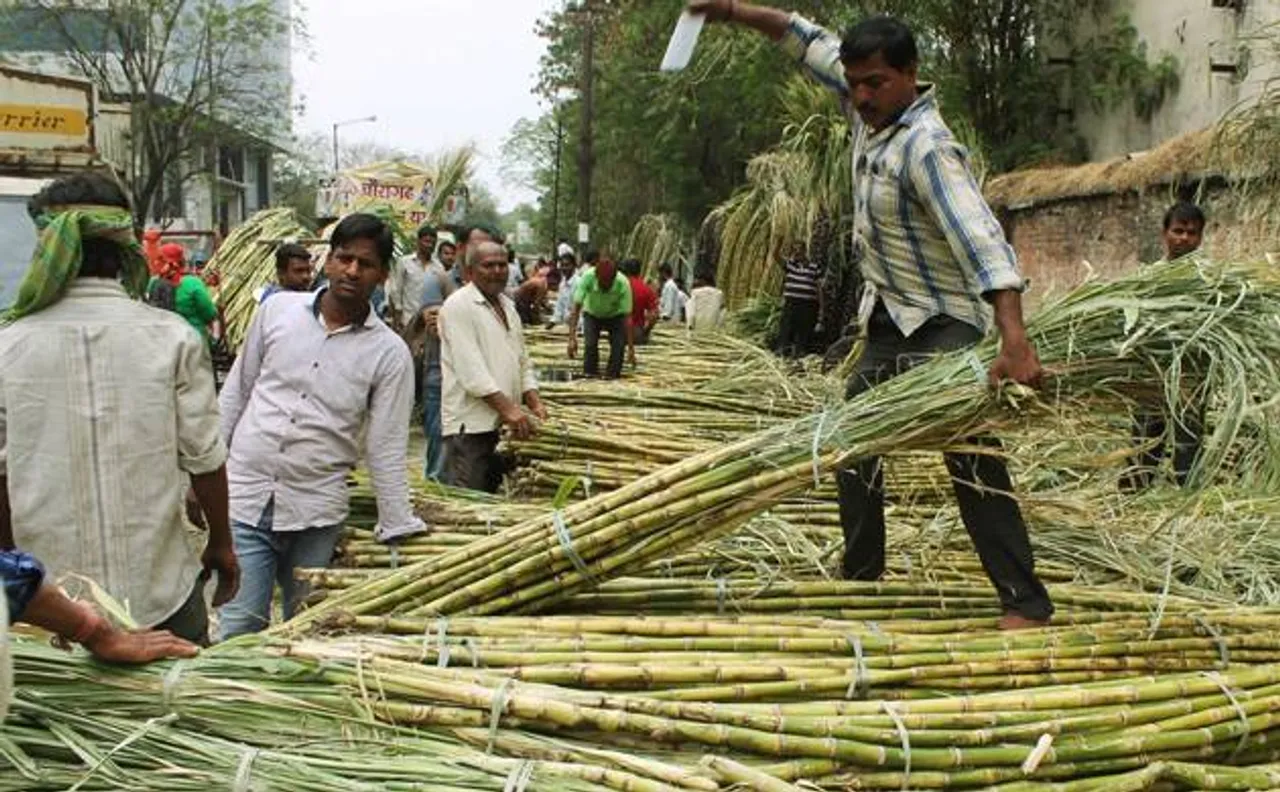 गन्ना किसानों को राहत, मोदी सरकार ने 8 हजार करोड़ रु के पैकेज का किया ऐलान