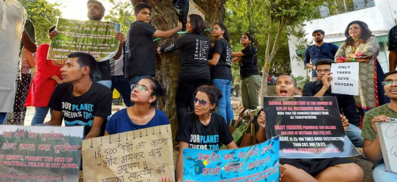 एनजीटी ने NDMC और DDA को जारी किया नोटिस, पेड़ों की कटाई पर 19 जुलाई तक लगाई रोक
