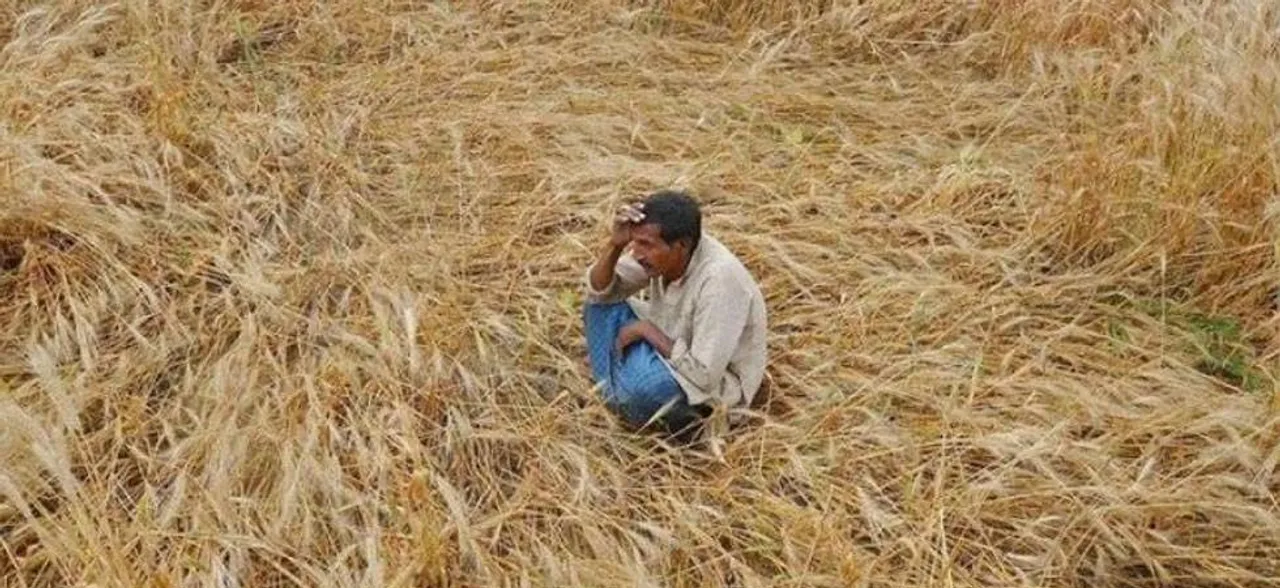महाराष्ट्र: सिर्फ 3 महीनों में 639 किसानों ने की आत्महत्या, प्रतिदिन मरते हैं 7