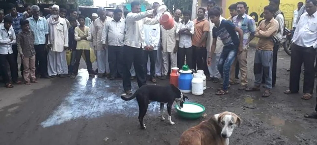 महाराष्ट्र: दूध उत्पादक किसानों का आंदोलन जारी, ट्रेन से लाया गया दूध