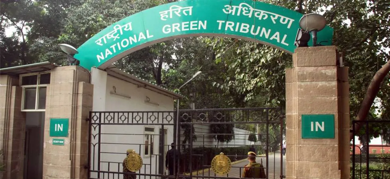 एनजीटी ने पर्यावरण मंत्रालय-DDA को जवाब देने के लिए दिया समय, पेड़ों की कटाई पर 27 जुलाई को होगी अगली सुनवाई